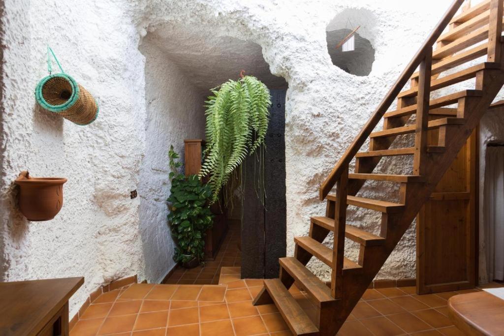 Live Socorro Cave Villa Güímar Exterior foto